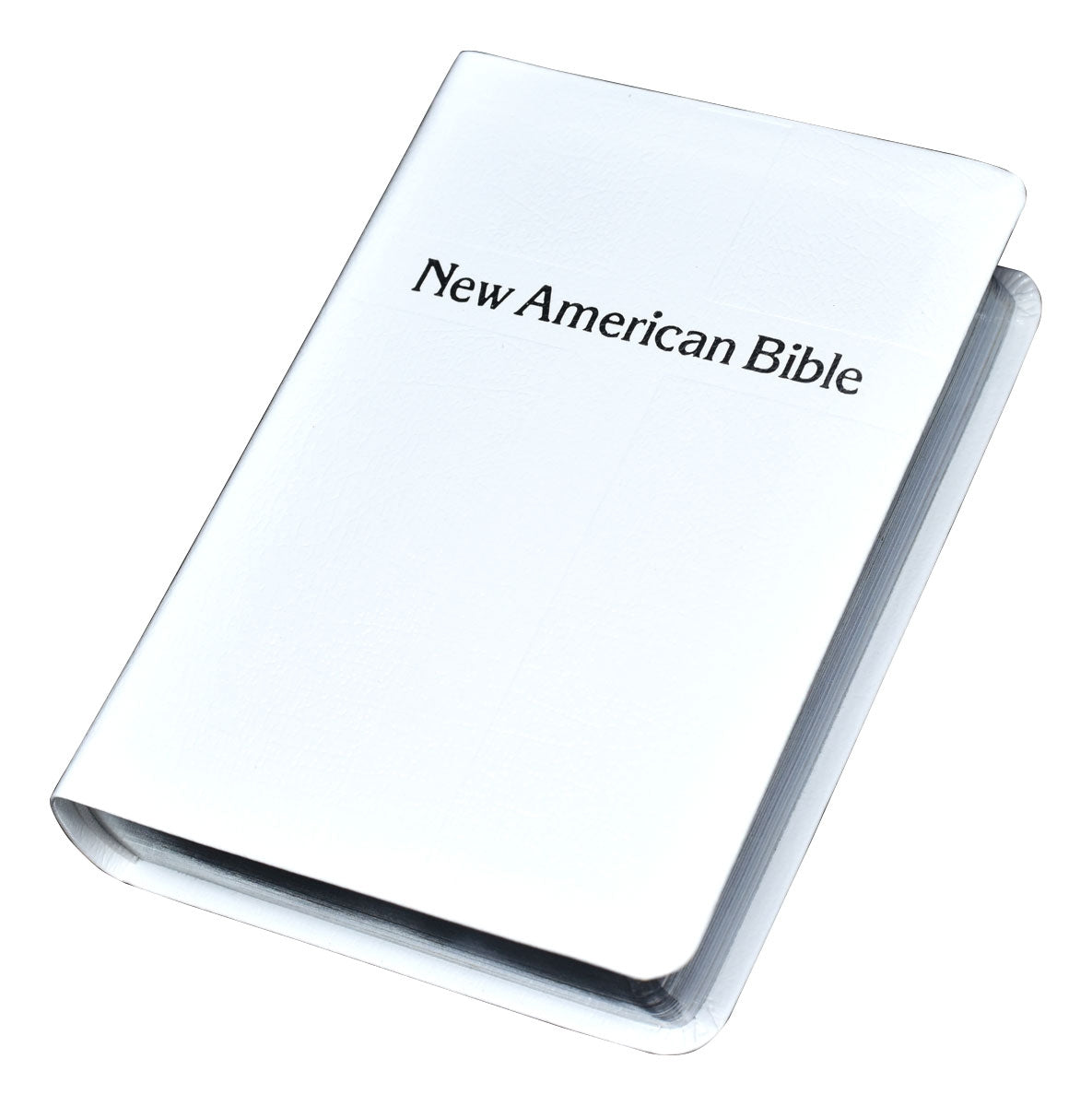 Catholic New American Bible